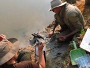 Científicos descubren en África una estructura de madera construida 300 mil años antes del Homo sapiens