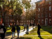 La trampa de la inteligencia artificial: por qué Harvard advierte que cuanto más se usa, más cansancio mental genera