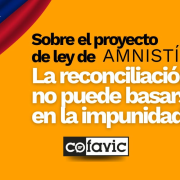 Cofavic propone derogar las leyes usadas para la persecución