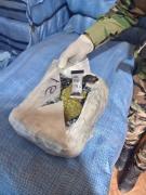 FELCN incauta más de una tonelada de marihuana en un operativo en Cochabamba