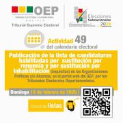 TSE publica la lista oficial de candidatos habilitados para las subnacionales