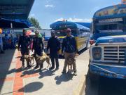 Comenzó la zafra de viajeros hacia las costas aragüeñas