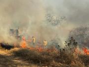 Gobierno de Ecuador aseguró que incendios en Guayaquil son provocados por estructuras criminales