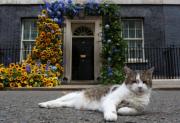 Quince años de poder felino en Downing Street