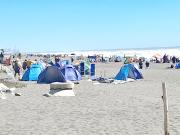 Veraneantes se volcaron a la costa curicana