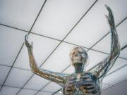 Descubren el primer tratamiento que rejuvenece el sistema inmunológico en Estados Unidos: en qué consiste