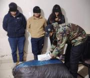 Operativo en carretera Oruro–Sucre deja tres aprehendidos y 79 bolsas de marihuana secuestradas