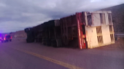 Volcó un camión con 85 vacunos en la Ruta 25