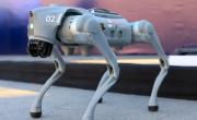En Monterrey, desplegarán ‘perros robot’ para ayudar con la seguridad en los partidos del Mundial