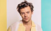 Harry Styles y el estrellato solitario luego de One Direction