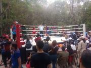4ta edición de Boxeo Verde celebró los 89 años del Parque Henri Pittier