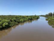 Tragedia: encontraron muerto al joven de 14 años que estaba pescando con su familia