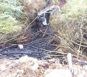 Accidente de tránsito provocó corte masivo de luz en la Pelluhue y Chanco