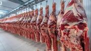 La exportación de carne absorbe más de la mitad del ganado criado en corrales