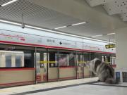 Construyó una ciudad en miniatura para sus gatos e inauguró su estación de subte
