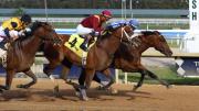 Gulfstream Park inicia la semana 13 del Championship Meet el jueves con diez carreras