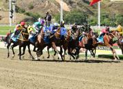 Yegua que en su última escoltó a las mejores corredoras en el Clásico Internacional Emisael Jaramillo regresa al óvalo de La Rinconada