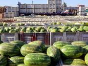 ¿Está más barata la feria? Bajas de precios entre verduras y frutas priman este verano