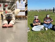 Los Therians chilenos rompen el silencio: “No estamos locos”, “no comemos comida de perro” y “tomamos agua desde el suelo”