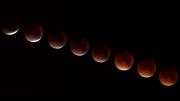 Eclipse lunar el 3 de marzo: ¿Se verá desde Chile la Luna de Sangre?