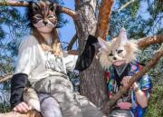 Profesores de la UCV se pronuncian por el primer encuentro Therian en esta casa de estudios