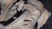 Icónica escultura de elefante ubicada en la plaza de la Minerva en Roma aparece dañada: Uno de sus colmillos se rompió