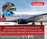 Senadora solicita que se agilice en Diputados el tratamiento de la Ley que busca anular incremento en pasajes aéreos