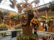 “Naturaleza Viva” late en el Pachano Lalama