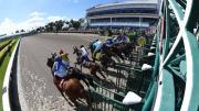 El dato que necesitas para abrir la jornada del jueves en Gulfstream Park: Una fija de 9-2 en la grama