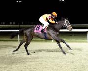 Tendrán que correrle: Map of the Moon se juega el invicto en el Cincinnati Trophy Stakes de $100,000 camino hacia los Lirios en Kentucky