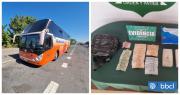 Can de Carabineros pilla a una pasajera de bus en Lampa con 3 kilos de cocaína