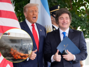 Milei viaja a Washington