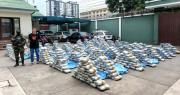 Felcn: Cerca de 4,8 toneladas de drogas fueron decomisadas en operativos durante Carnaval