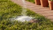 Por qué deberías colocar bicarbonato de sodio en el césped del jardín durante este mes