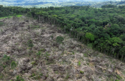 La deforestación en la Amazonía /Incrementa el calor y reduce las lluvias