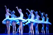 El Ballet Nacional /Recorre el país con “El lago de los cisnes” ¿y en Salto?