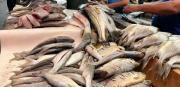 El pescado se posiciona como la alternativa más económica
