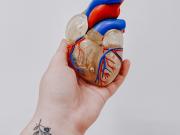 Juan Bola, nutricionista y divulgador: “La gente no entiende que el colesterol, muchas veces, se vincula con la longevidad”