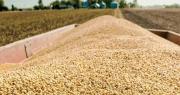 Gobierno aprueba arancel cero para la importación de soya hasta el 31 de diciembre de este año