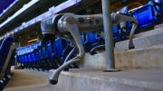 Policías de metal: los perros robots que vigilarán a los hinchas durante el Mundial 2026