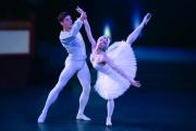 'El lago de los cisnes' llega al Gran Teatro Nacional