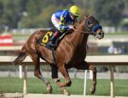 Pedigrí de lujo: Nace el primer hijo de un ganador del Arkansas Derby en República Dominicana