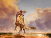 Hallan en el Sahara una nueva especie de dinosaurio con una cresta en forma de sable que se creía que habitaba cerca del agua