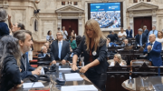 Escándalo en el Congreso: una diputada K desconectó cables y micrófonos y fue repudiada