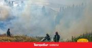 Un incendio de pastizales movilizó a los Bomberos en El Calafate