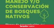 Convocan a presentar planes de manejo forestal