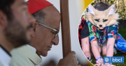 Cardenal Chomali sale al paso de los therians: Veo en esta moda un grito desesperado de amor