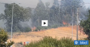 Por cercanía a zonas pobladas: declaran Alerta Roja por incendio forestal en Valdivia