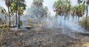 Incendio consume grandes hectáreas de la Reserva Aguapey