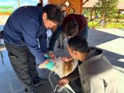 Salud refuerza medidas de prevención tras confirmación de cuatro casos de rabia en murciélagos en la región